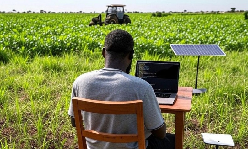 Secteur agriculture